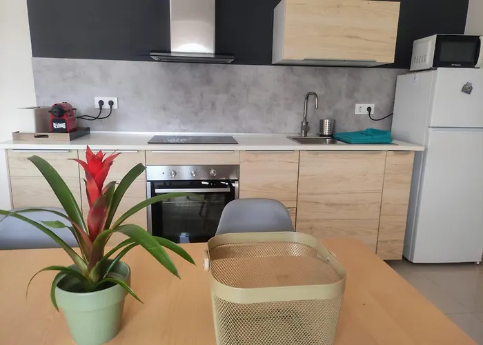 Pe Do Rio Appartement