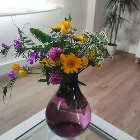 Pe Do Rio * Ponteceso