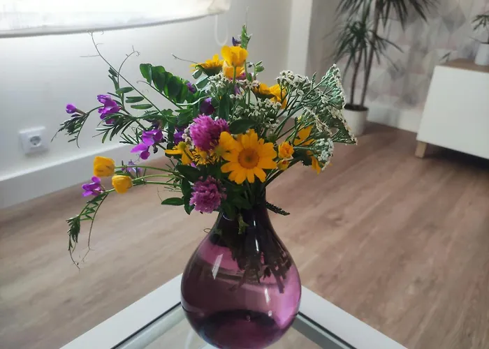 Pe Do Rio * Ponteceso